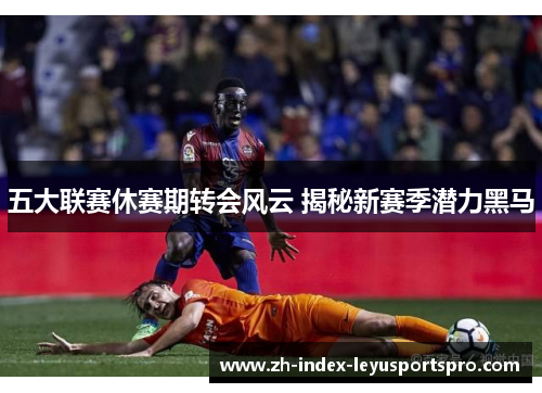 五大联赛休赛期转会风云 揭秘新赛季潜力黑马